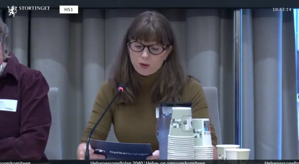Skjermbilde høring HPP26.png
